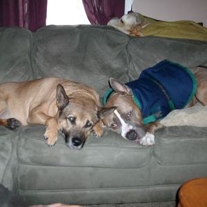 Meet your Posher, Angela